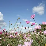아파트 In Hambachtal Oberhambach