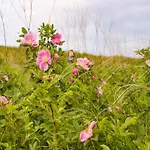 In Hambachtal * Oberhambach