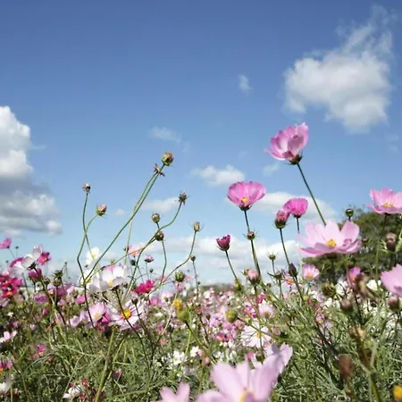 Family In Hambachtal Appartement Oberhambach