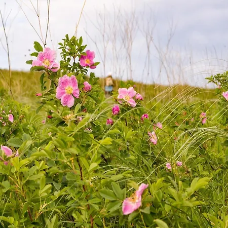 Family In Hambachtal Oberhambach