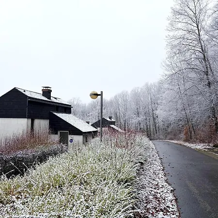 Family In Hambachtal