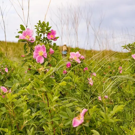 Appartement Family In Hambachtal