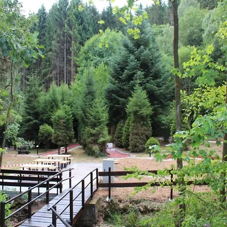 Family In Hambachtal