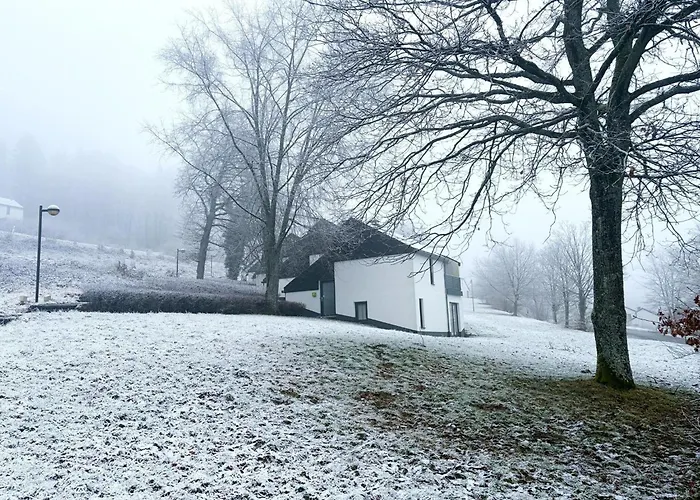 Apartment Family In Hambachtal Oberhambach