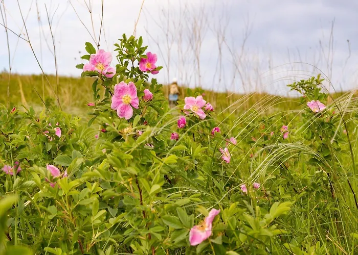 Family In Hambachtal Oberhambach