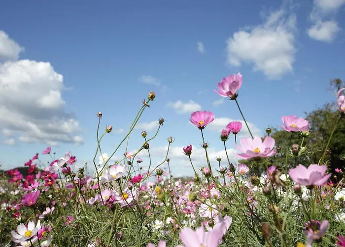 Family In Hambachtal Appartamento